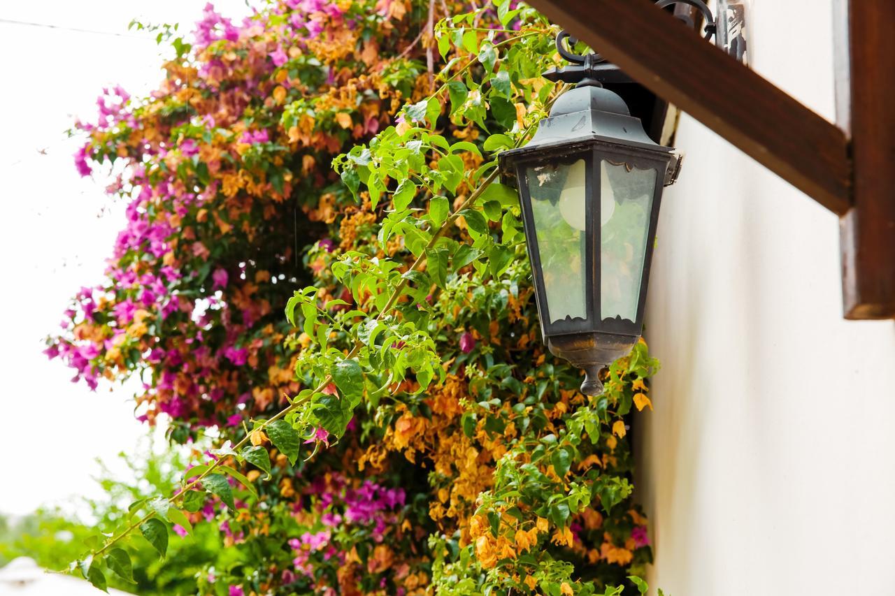 Bed & Breakfast Santa Fara Bari Ngoại thất bức ảnh